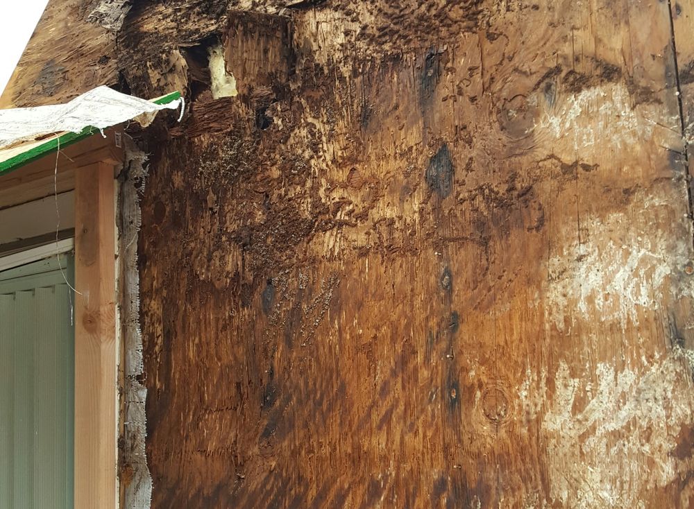 All Photos for Home Pros in Maple Falls, WA