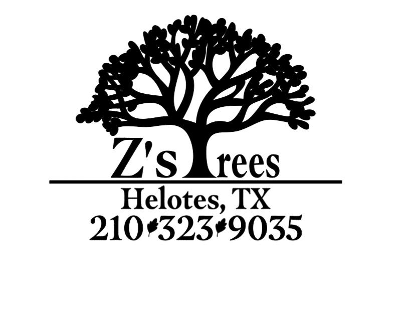 All Photos for Z’s Trees LLC in Grey Forest, TX