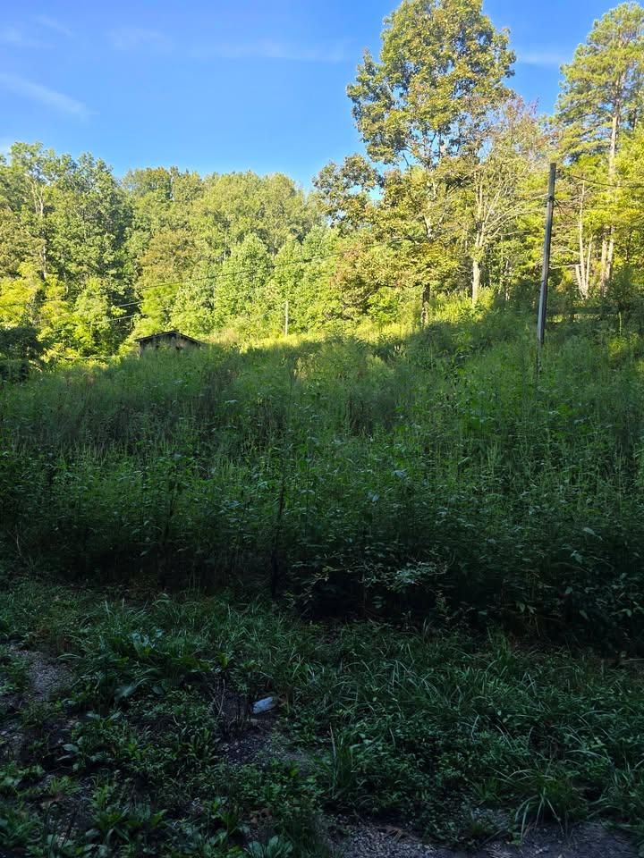 All Photos for Williams Lawn and Land in Sharps Chapel, TN