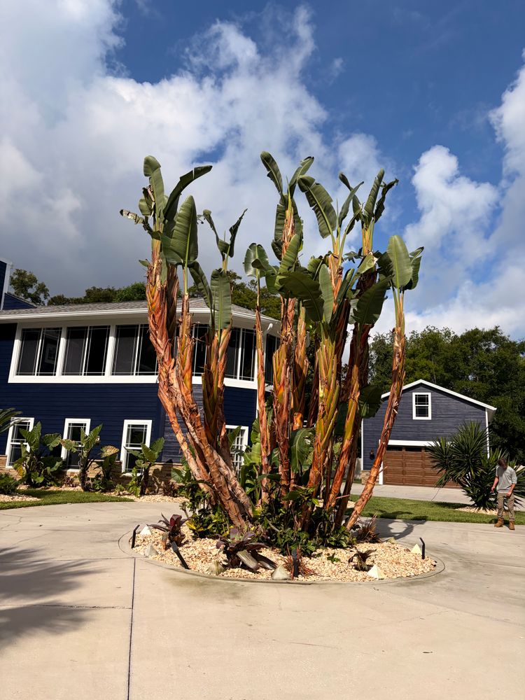 All Photos for Vanic's Landscaping in Port Orange, FL