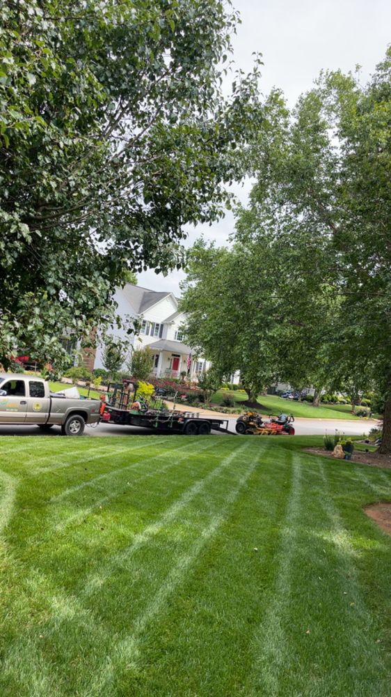 Lawn Transformations for Sunrise Lawn Care & Weed Control LLC in Simpsonville, SC