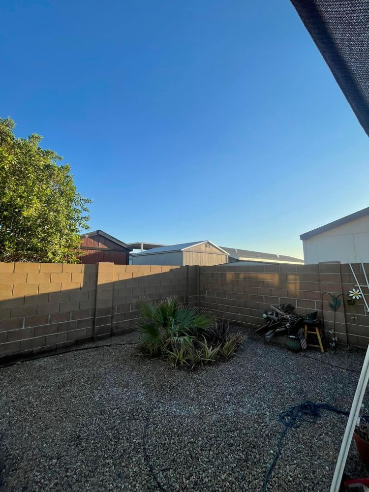 All Photos for Oliver L. Palm & Tree services in Yuma County, AZ