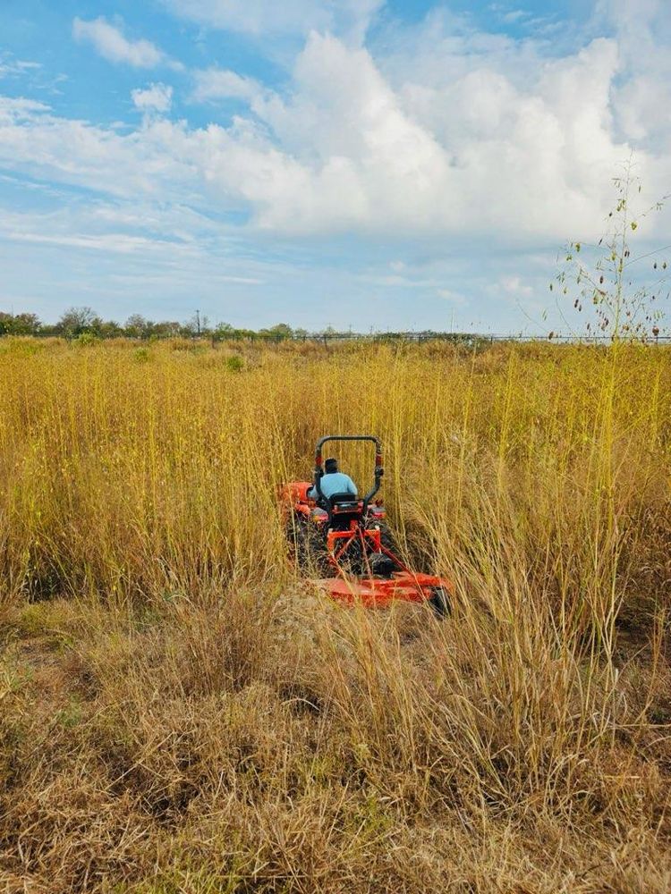 All Photos for Oviedo Land & Garden in Bastrop, TX