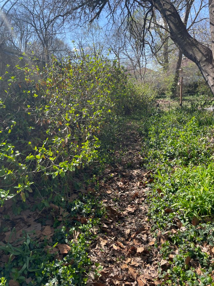  for MDR Landscaping in Urbana, IL