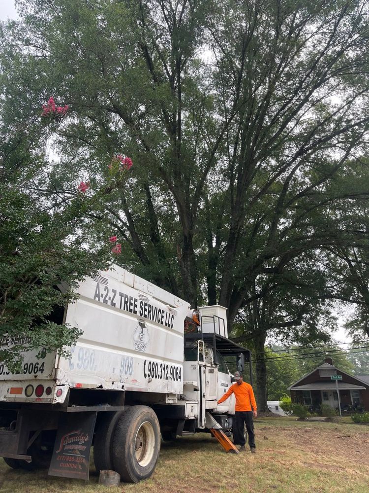 Tree Services for K-2 Tree Service in Shelby, NC