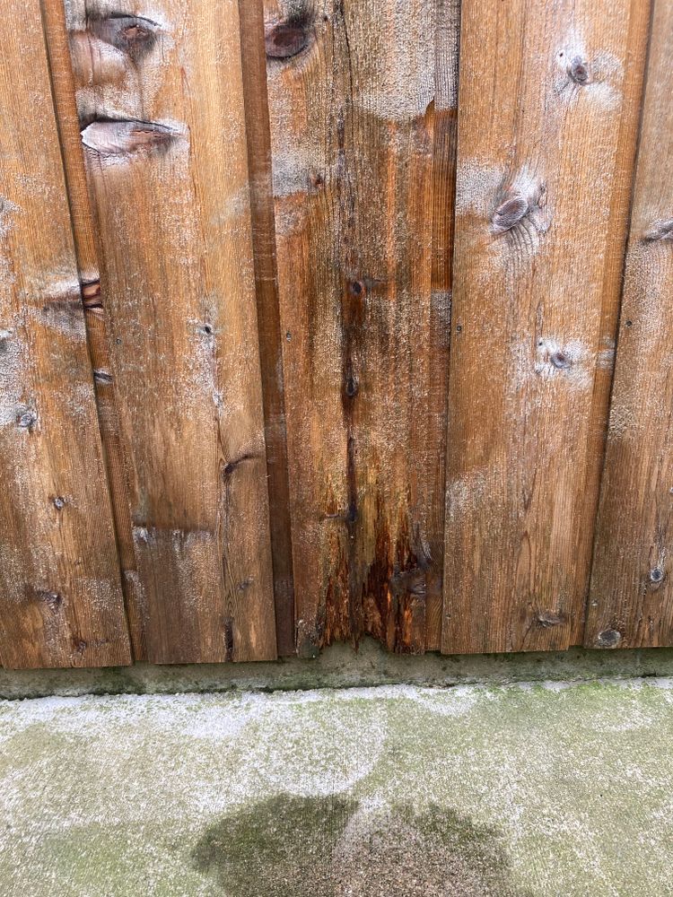 All Photos for Kenneth Fuller in Cleveland, MN