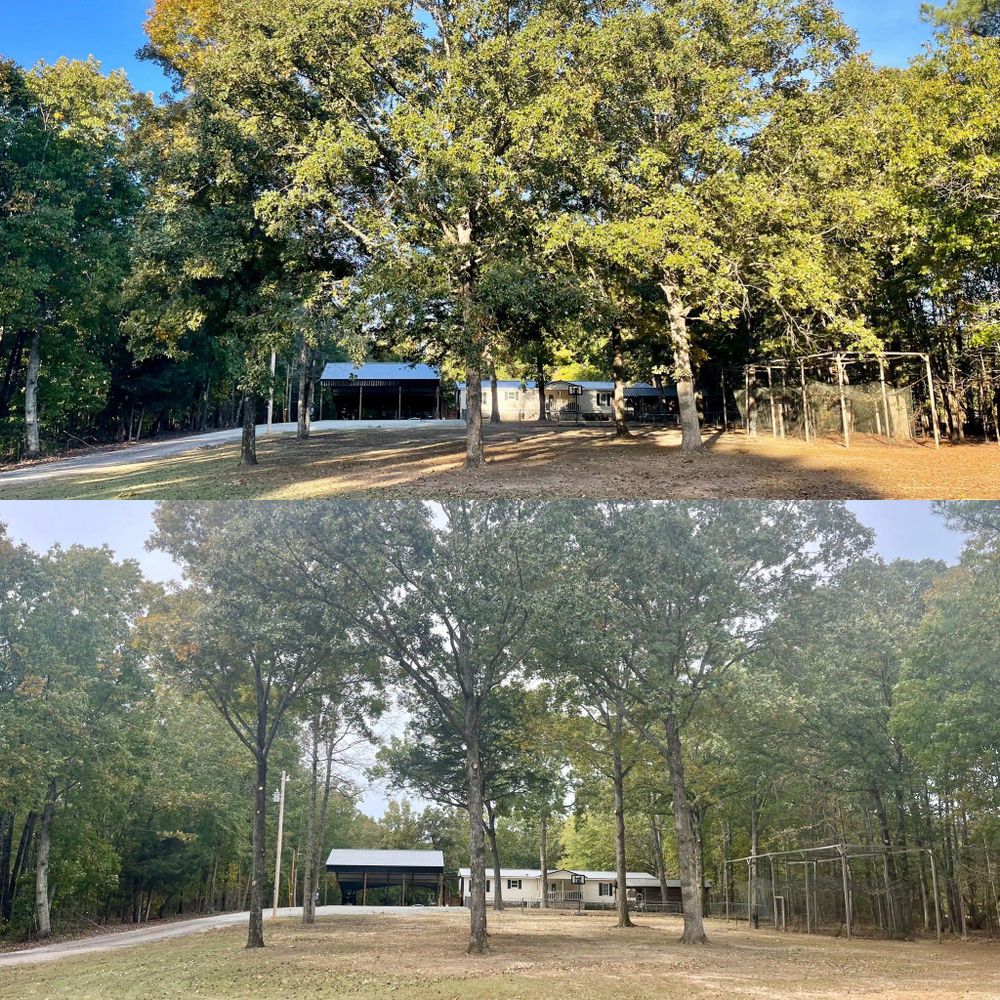 All Photos for Ross Family Tree Service LLC  in Hohenwald, TN