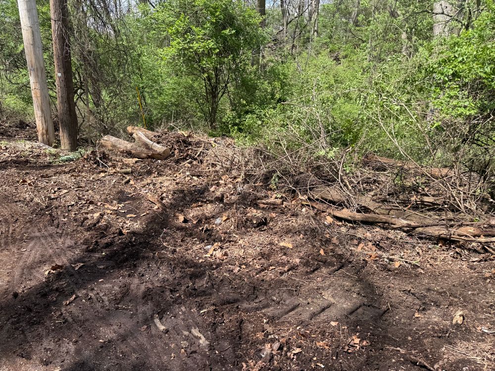 All Photos for A1 Bush Hogging & Lawn Service in London, OH