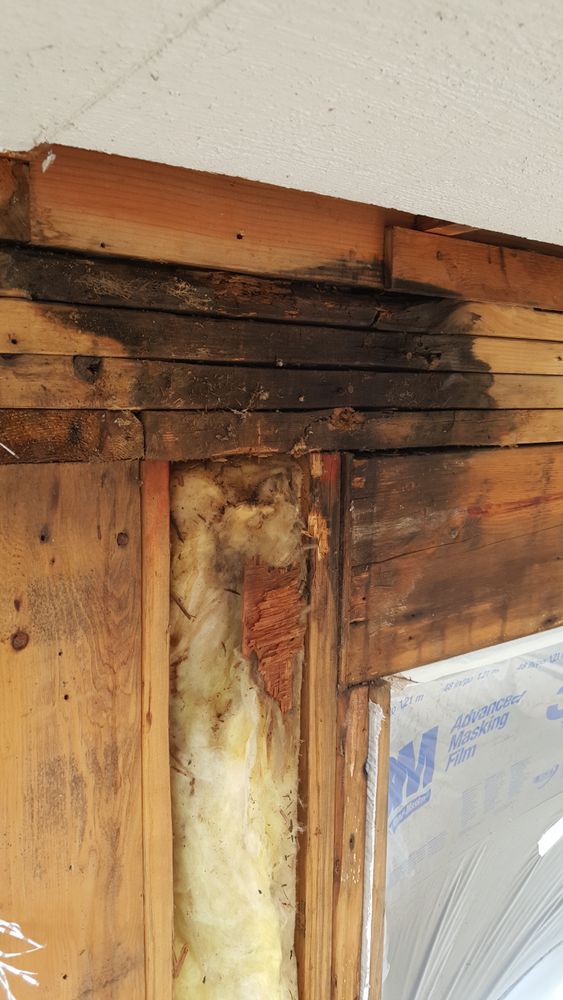 All Photos for Home Pros in Maple Falls, WA