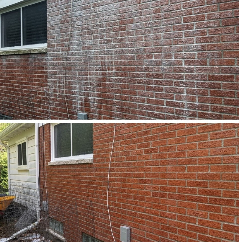 Pressure Washing for Reliance Pressure Washing in Livonia, MI