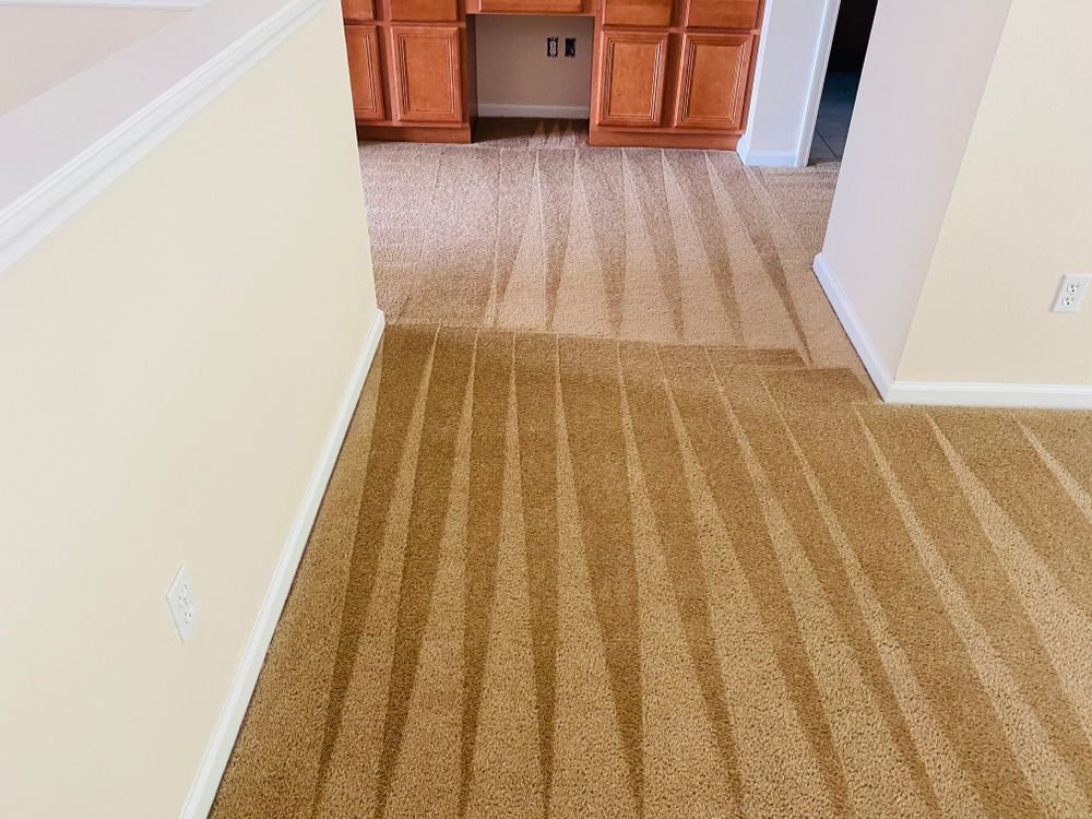 All Photos for Stain X Carpet Cleaning in Jacksonville, FL