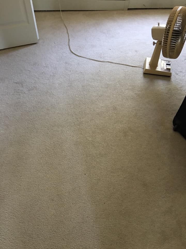 Carpet & Floor Cleaning for Ricas Color Carpet Dyeing Services in New Britain, CT