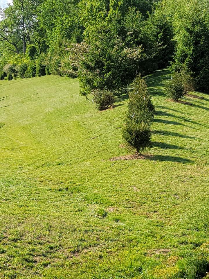 Lawn Care for Ace Property Solutions INC. in New Castle County, Delaware