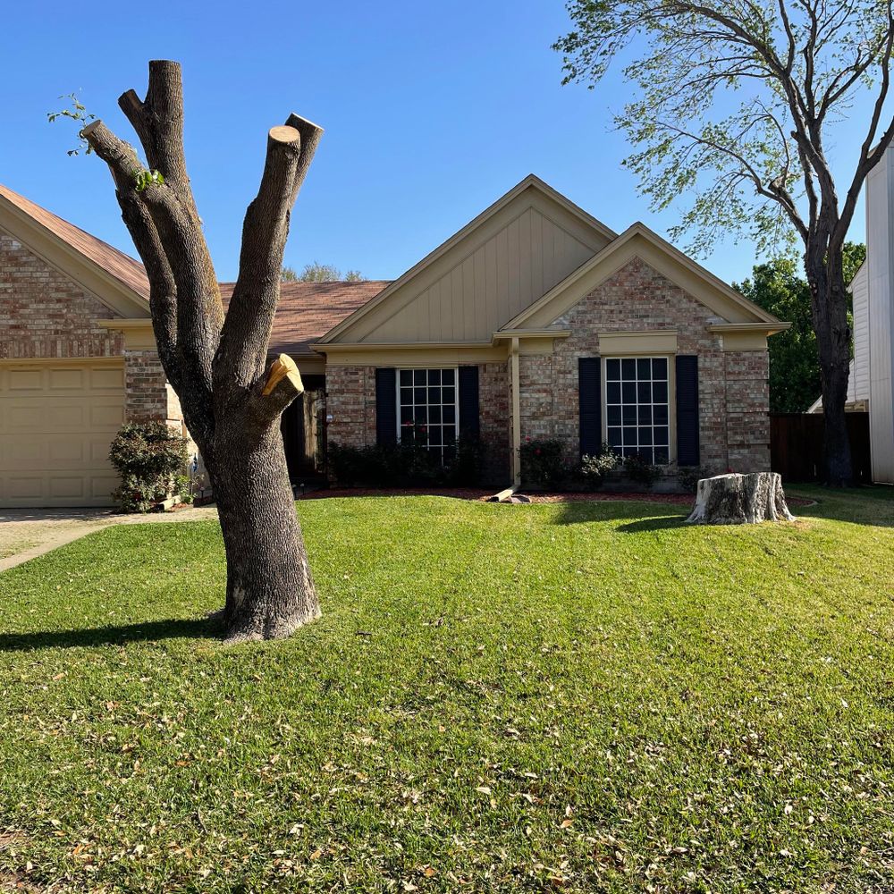 JMC Solutions team in Arlington, TX - people or person