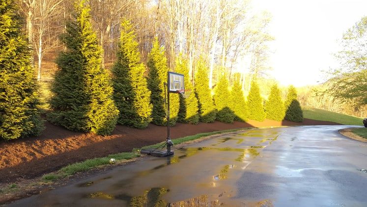 Landscaping for Platas Landscaping & Tree Service in Clyde, NC