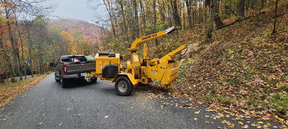 Fall Clean Up for Platas Landscaping & Tree Service in Clyde, NC