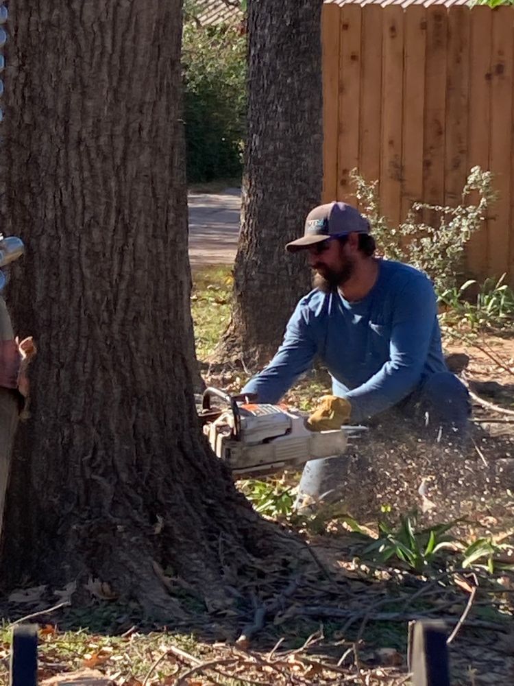 Rollins Tree Service team in Eastland, TX - people or person