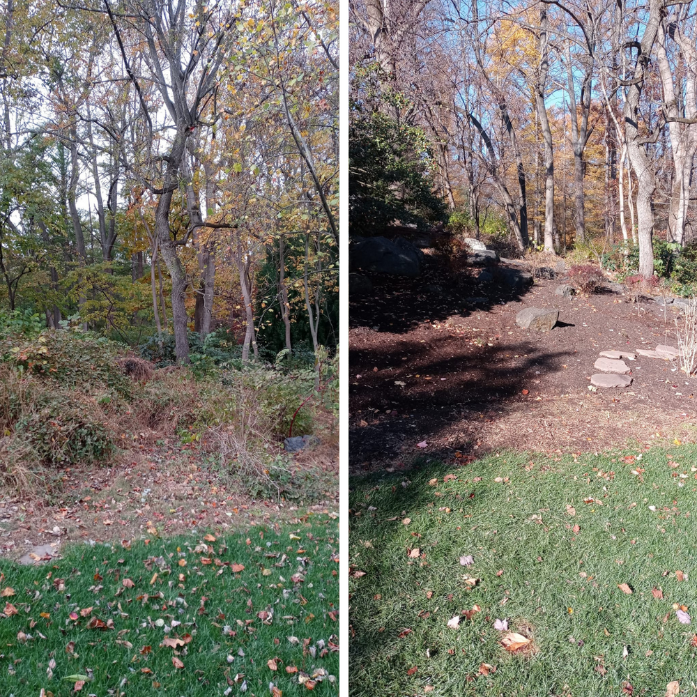 Lawn Care for Ace Property Solutions INC. in New Castle County, Delaware