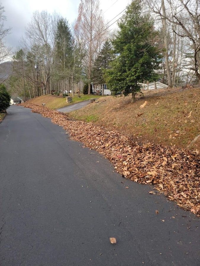 Fall Clean Up for Platas Landscaping & Tree Service in Clyde, NC