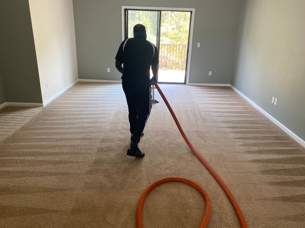 All Photos for Stain X Carpet Cleaning in Jacksonville, FL