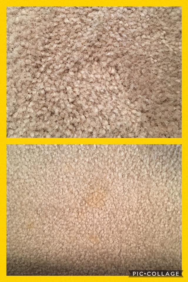 Carpet & Floor Cleaning for Ricas Color Carpet Dyeing Services in New Britain, CT
