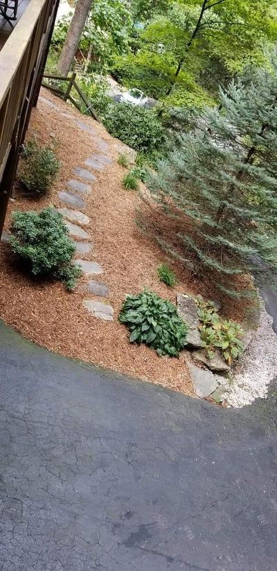 Landscaping for Platas Landscaping & Tree Service in Clyde, NC