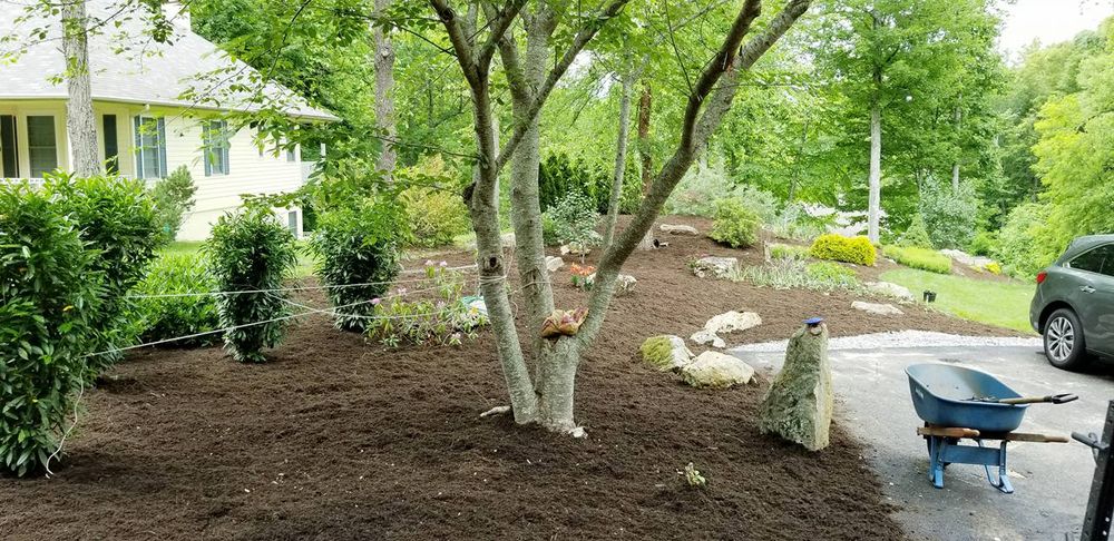 Landscaping for Platas Landscaping & Tree Service in Clyde, NC