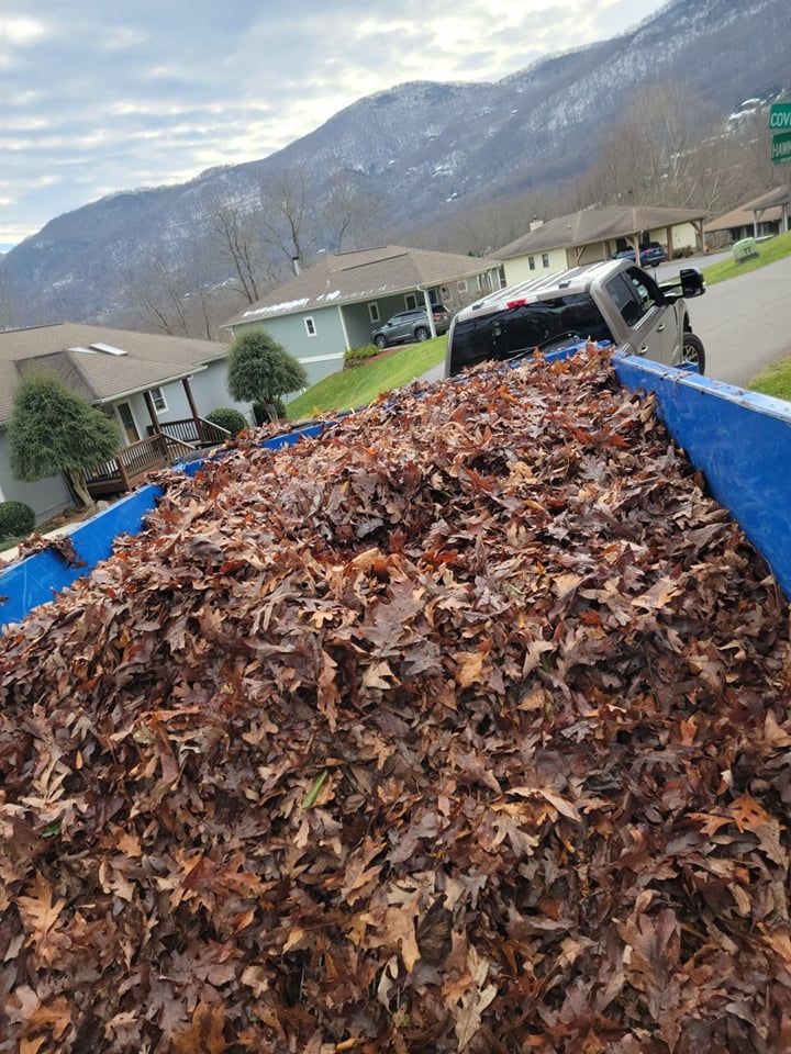 Fall Clean Up for Platas Landscaping & Tree Service in Clyde, NC