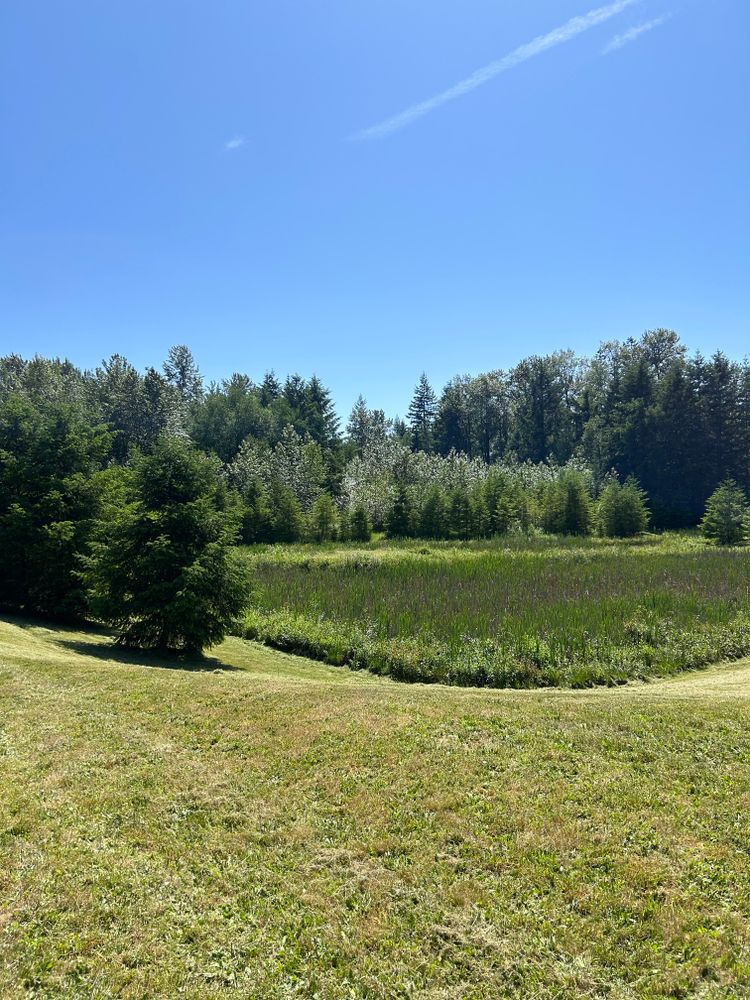 All Photos for Avenscapes NW, LLC in Getchell , WA