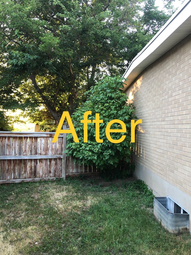 All Photos for Duncan Yard Services in Bountiful, UT