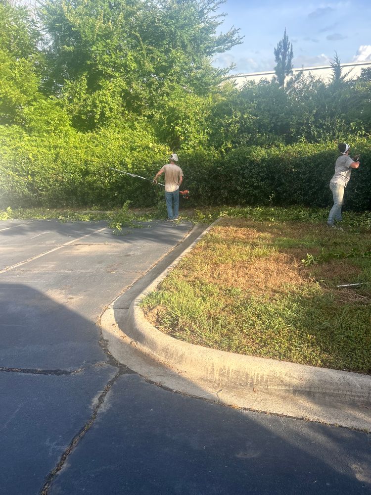 All Photos for Oakhurst Landscaping and Tree Service in Charlotte, NC