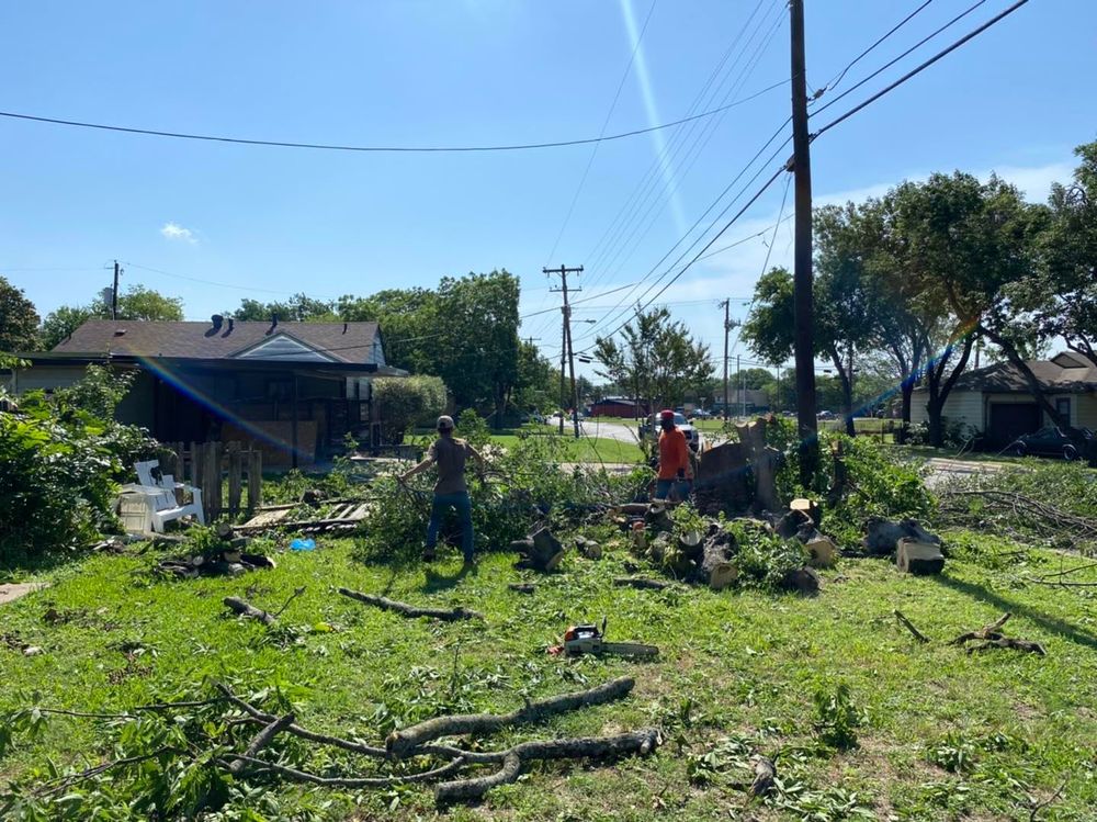 All Photos for Muniz Tree Service in North Richland Hills, TX