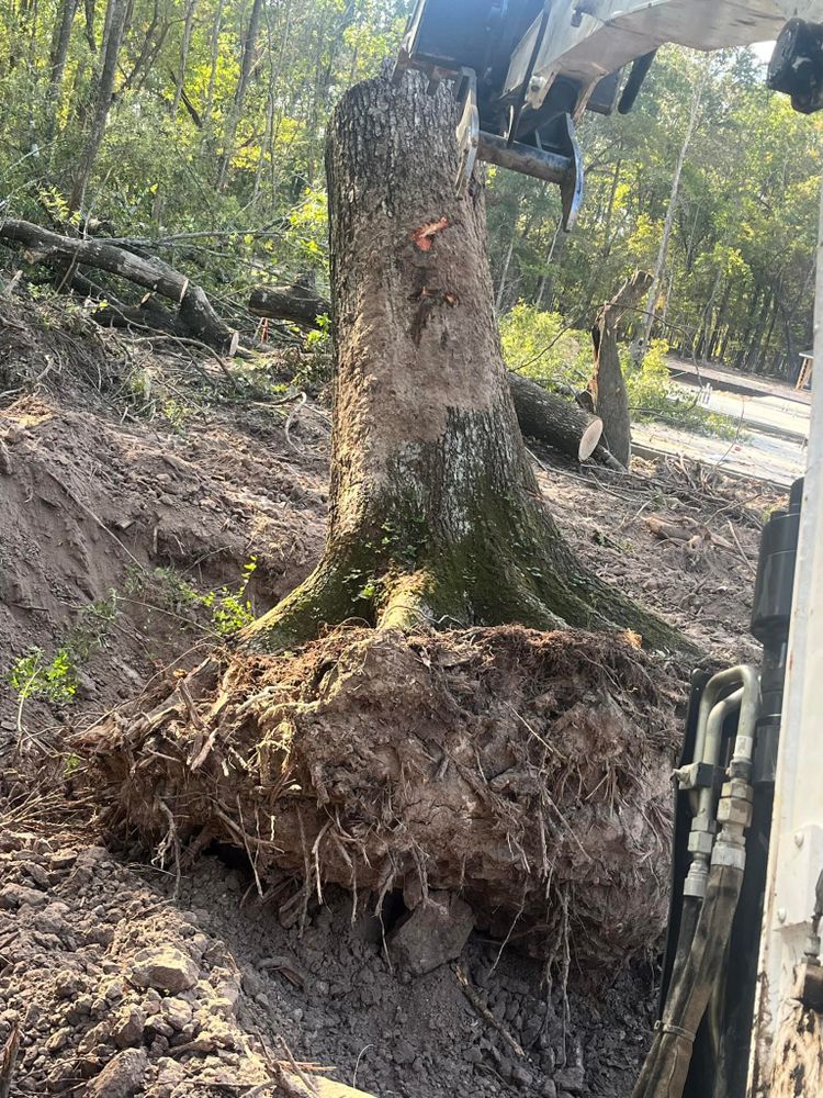 Our Tree Removal service ensures safe and efficient removal of unwanted trees, enhancing your property's appeal while preventing potential hazards. Trust our experienced team for thorough and environmentally responsible tree management solutions. for 1.Master Construcion Services in Houston, TX