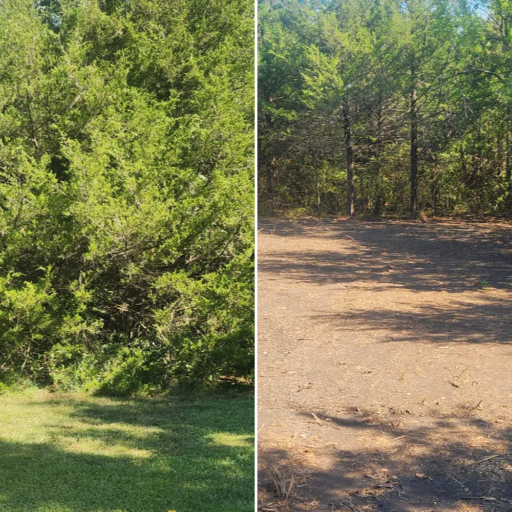 Our Land Clearing and Mulching service efficiently removes trees, shrubs, and debris from your property to prepare for construction or landscaping projects. Enhance the beauty of your land with ease. for L&T Excavating in Topeka, KS