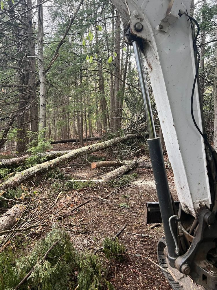 All Photos for Abair Tree Service in Weare, NH