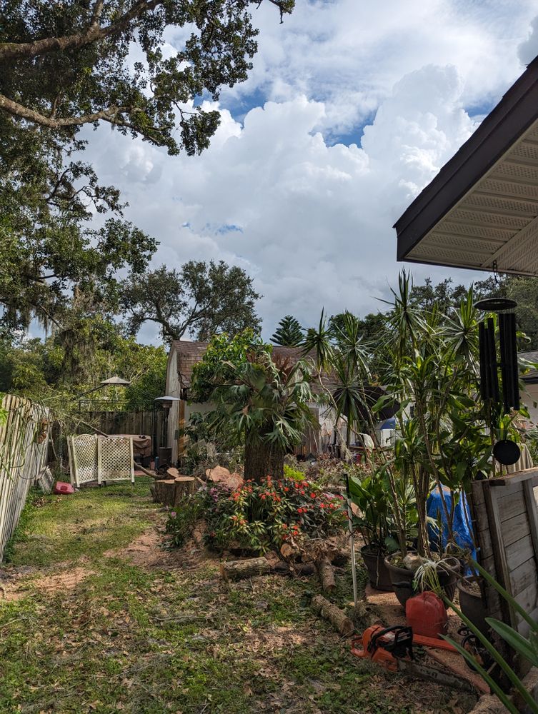 All Photos for Regal Tree Service and Stump Grinding in Wauchula, FL