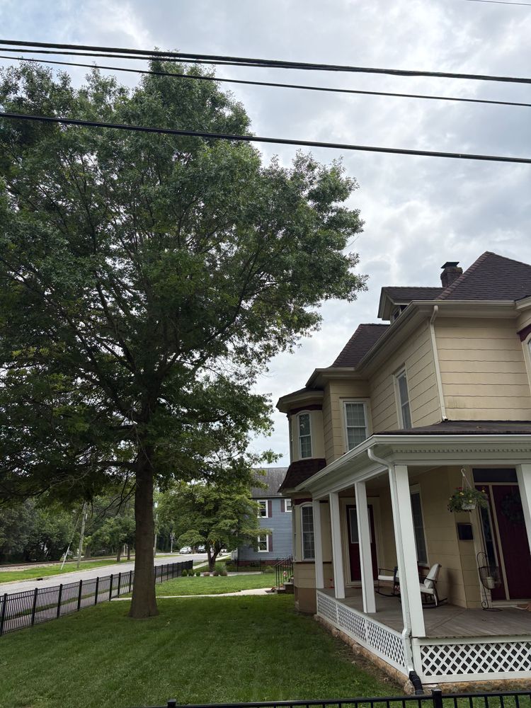 All Photos for Hingewood Tree Service in Salem, NJ