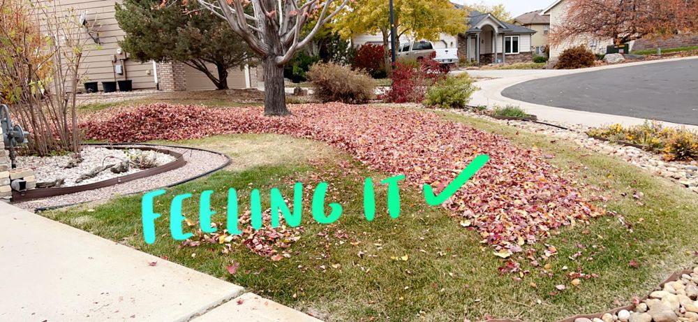 Enhance your outdoor space with our Seasonal Clean-up Services, expertly removing debris and preparing your landscape for upcoming seasons. Enjoy a pristine yard without the hassle, ensuring year-round beauty and health. for Rock Masters Inc. in Evans, CO