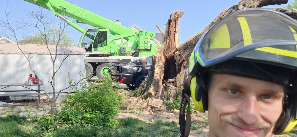 All Photos for Tree Fellers in Sumner County, TN