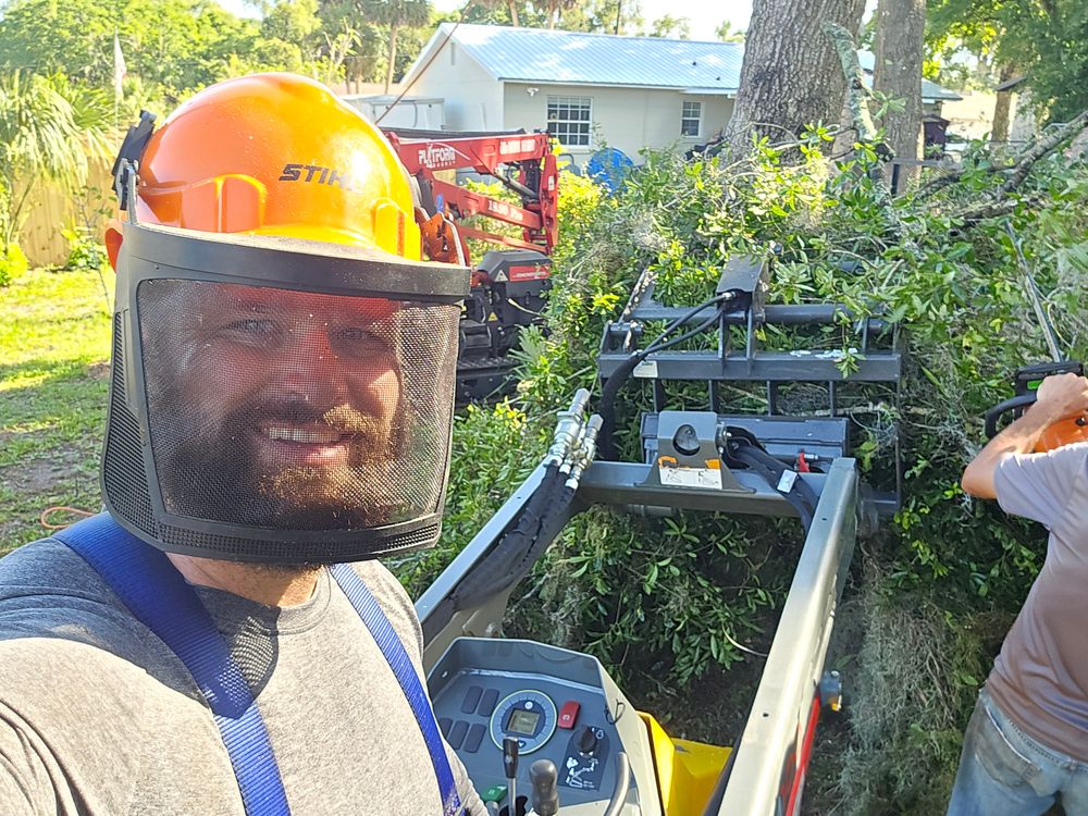 All Photos for Near Me Tree Service, Inc. in DeLand, FL