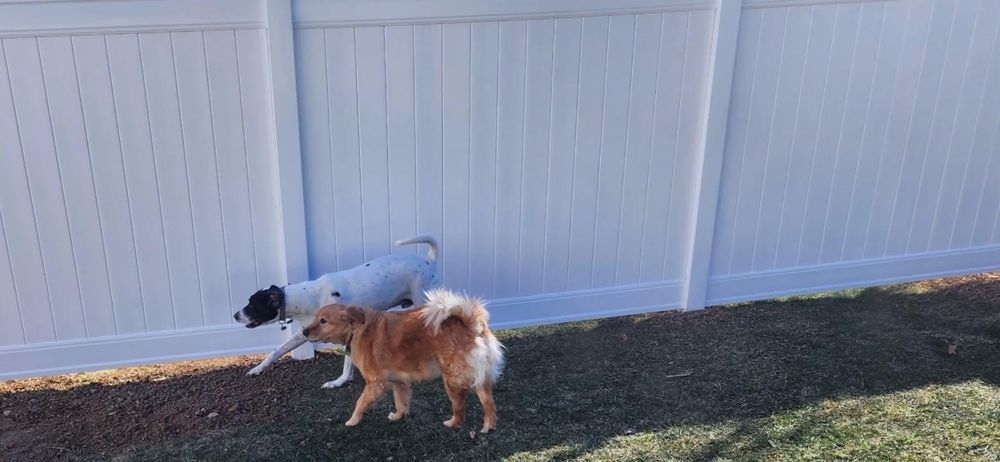 All Photos for Backyard Fence Solutions LLC in Uniontown, PA