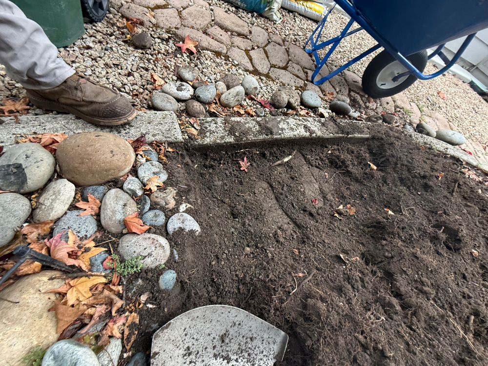 All Photos for CBA Landscaping in Hayward, CA