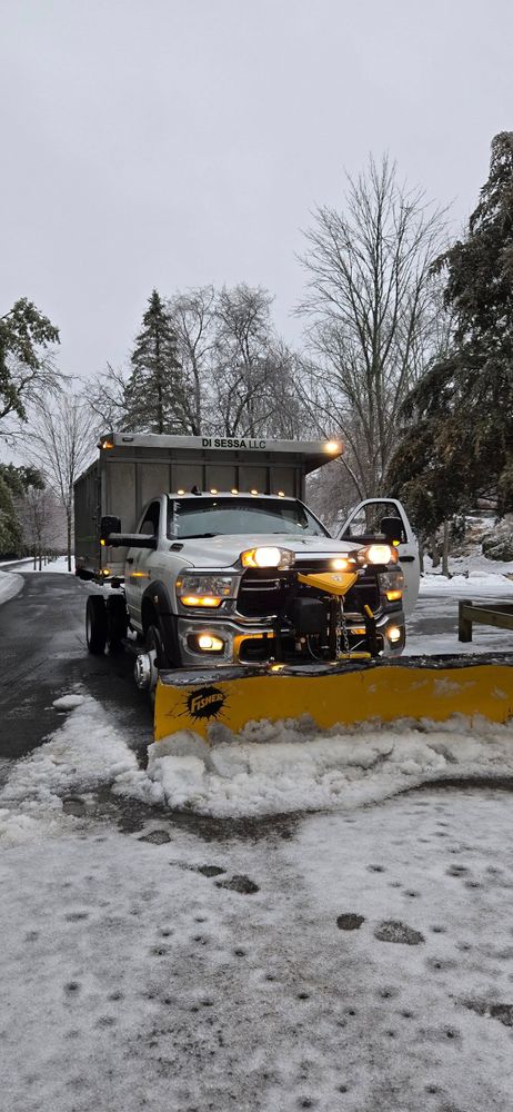 Snow Removal for Disessa in Wantage, NJ