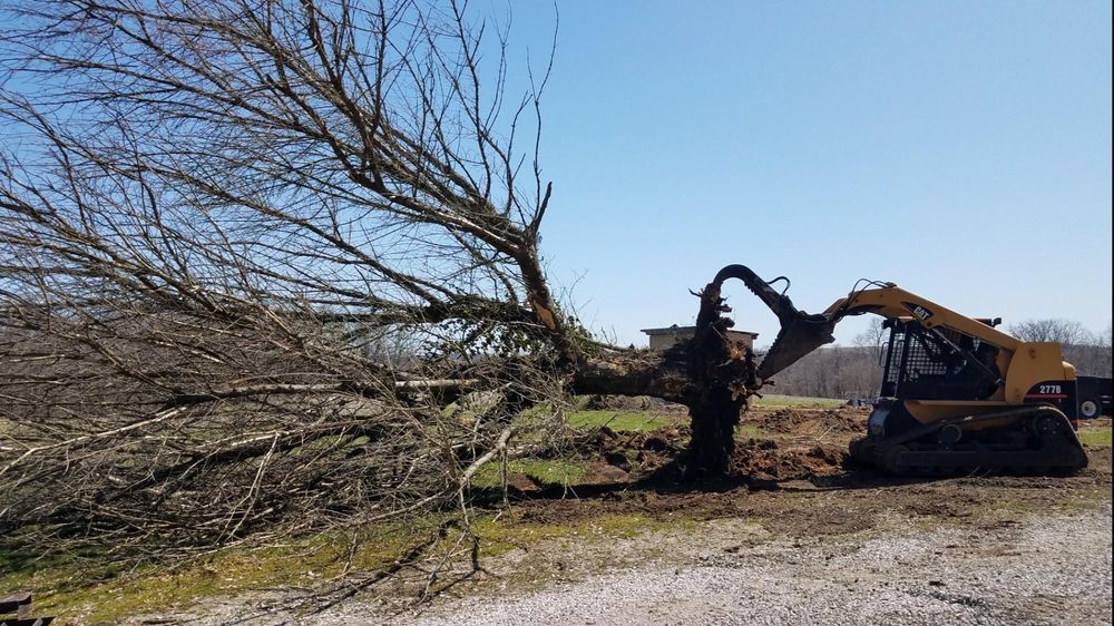 All Photos for Admiring Landscapes in Lancaster, OH