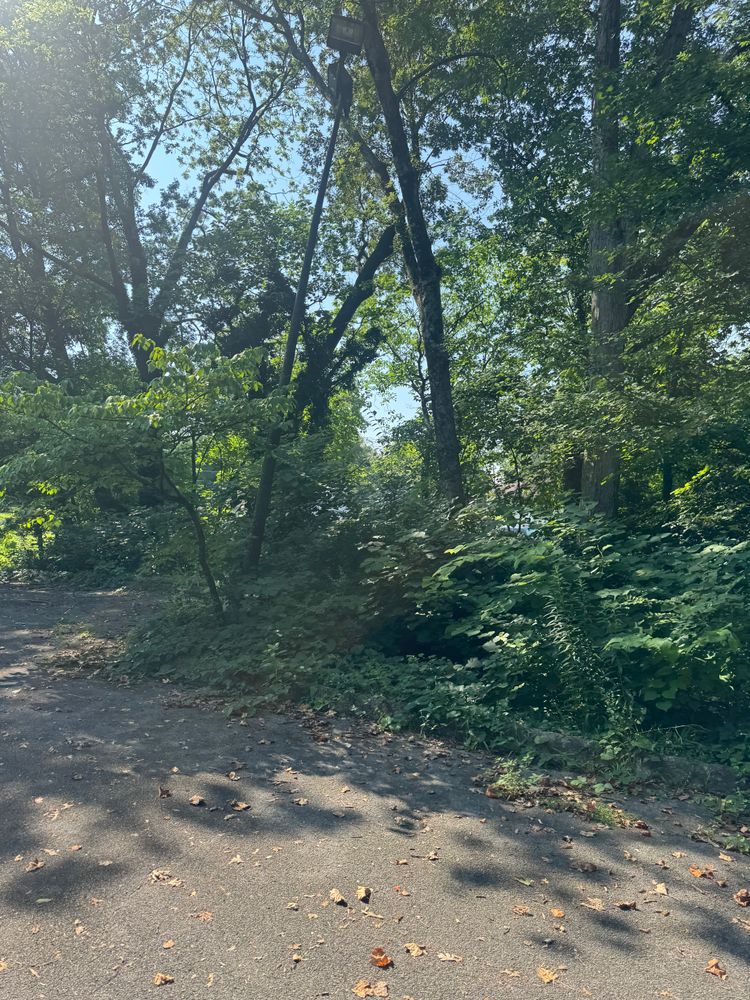 All Photos for Miller Farms Hay & Land Management in Knoxville, TN