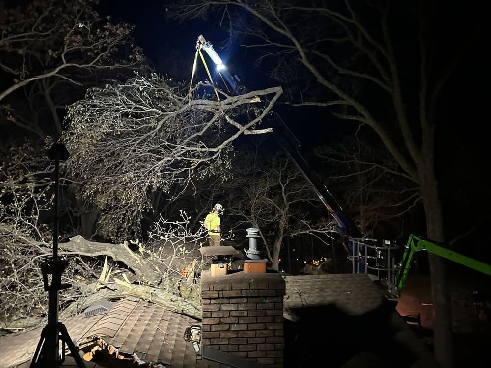 All Photos for Down To Earth Tree Service in Red Wing,  Minnesota