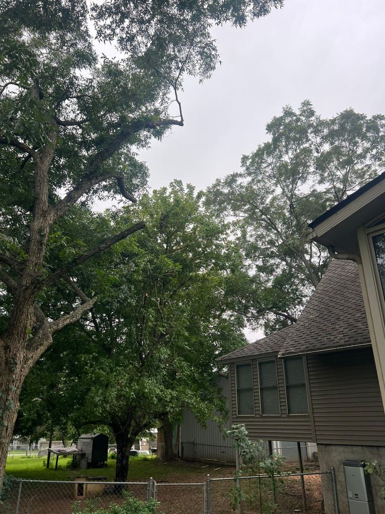 All Photos for Brooks Tree Service in Casar, NC