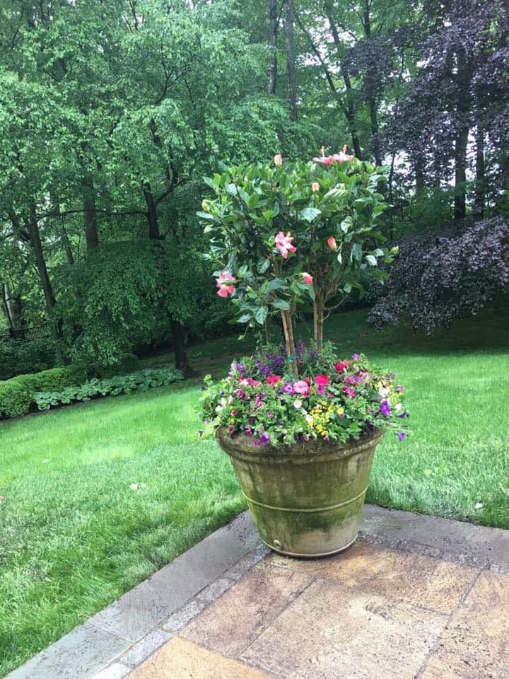 Lawn Care for Ovidio's Landscaping in Westchester County, NY