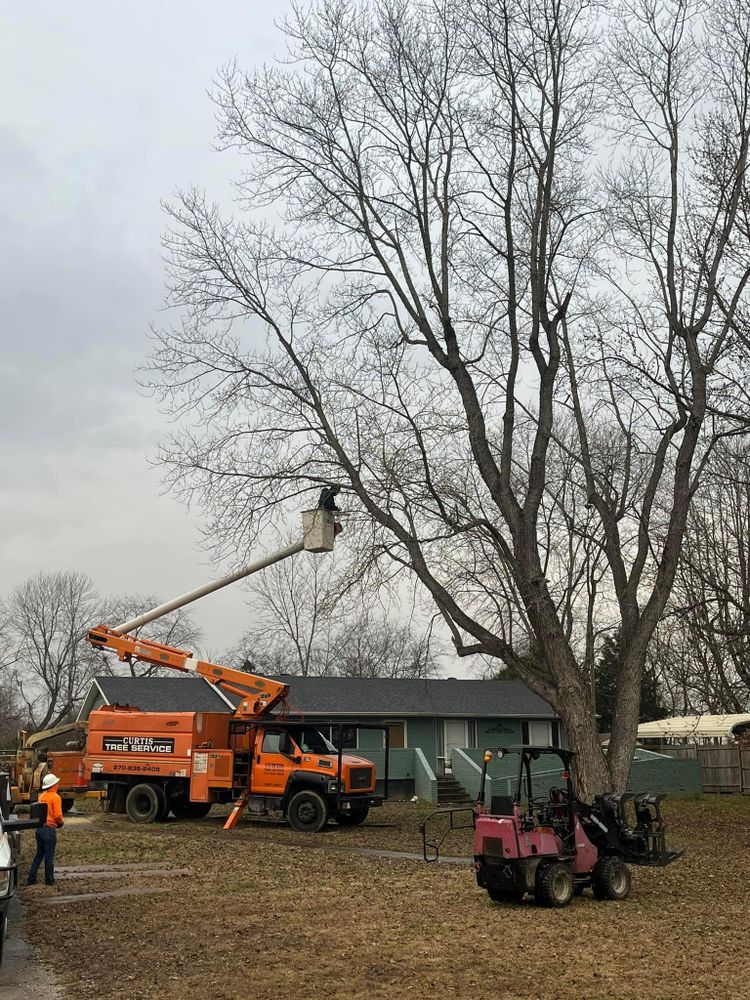 All Photos for Curtis Tree Service LLC in Hopkins County, KY