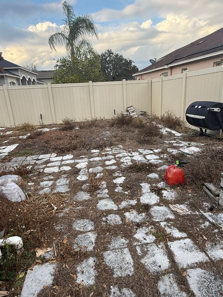 All Photos for Amerigrown Tree And Lawn in Apopka, FL